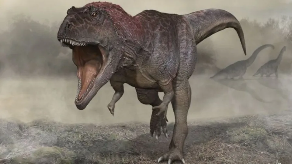  Tyrannosaurus rex