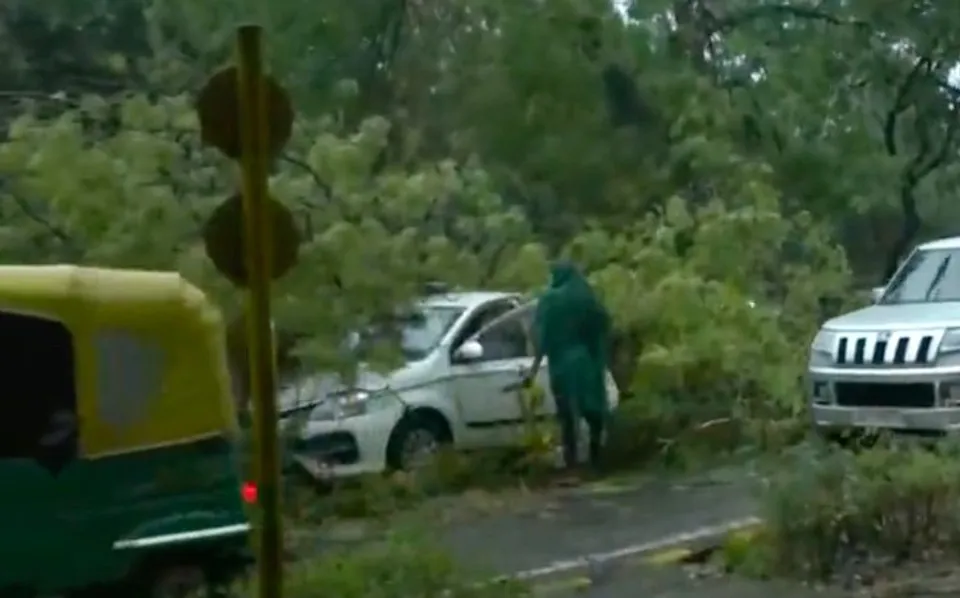 Tree falls on a car in Delhi; occupants unhurt