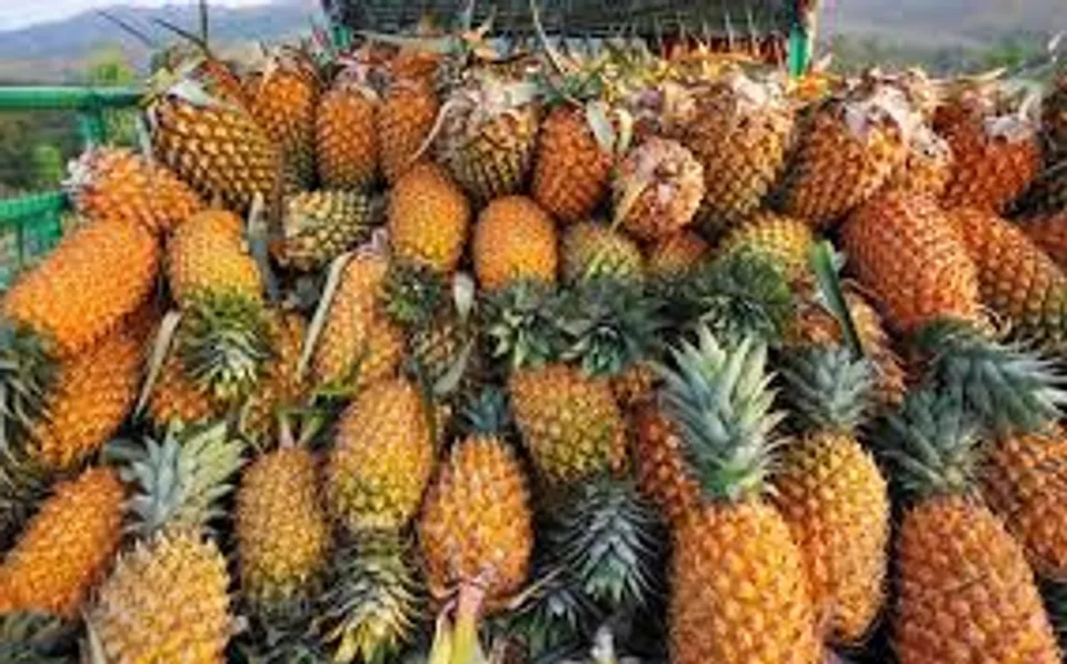 rtyjhgfdrtyuikjhrtyui