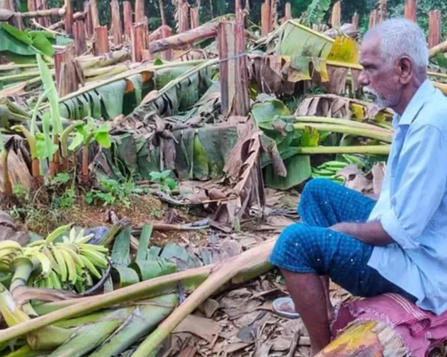 VAZHA KOTHAMANGALAM.