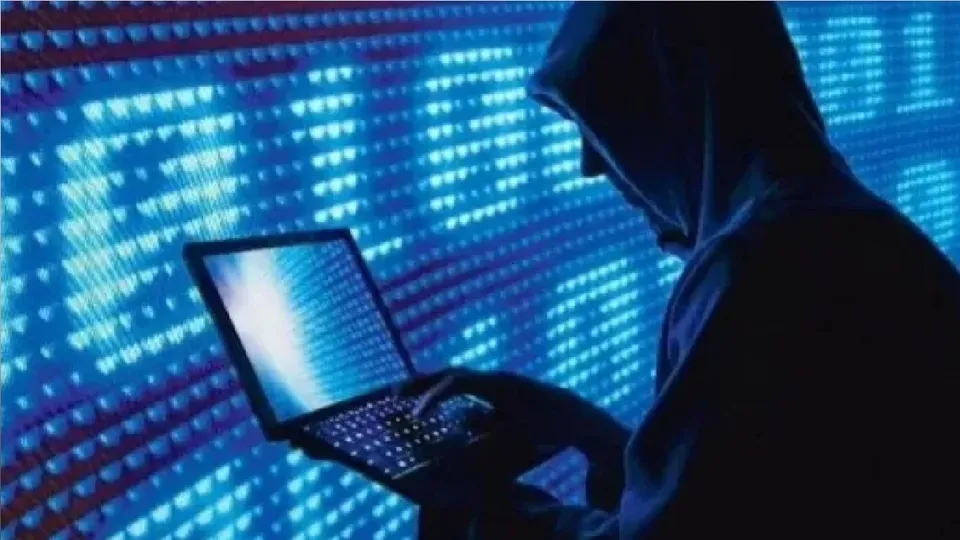 Cyber fraud called 'pig butchering scam' targeting unemployed youths: Centre