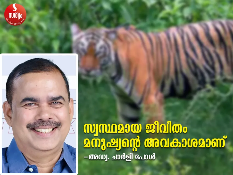 adv charly paul article-6