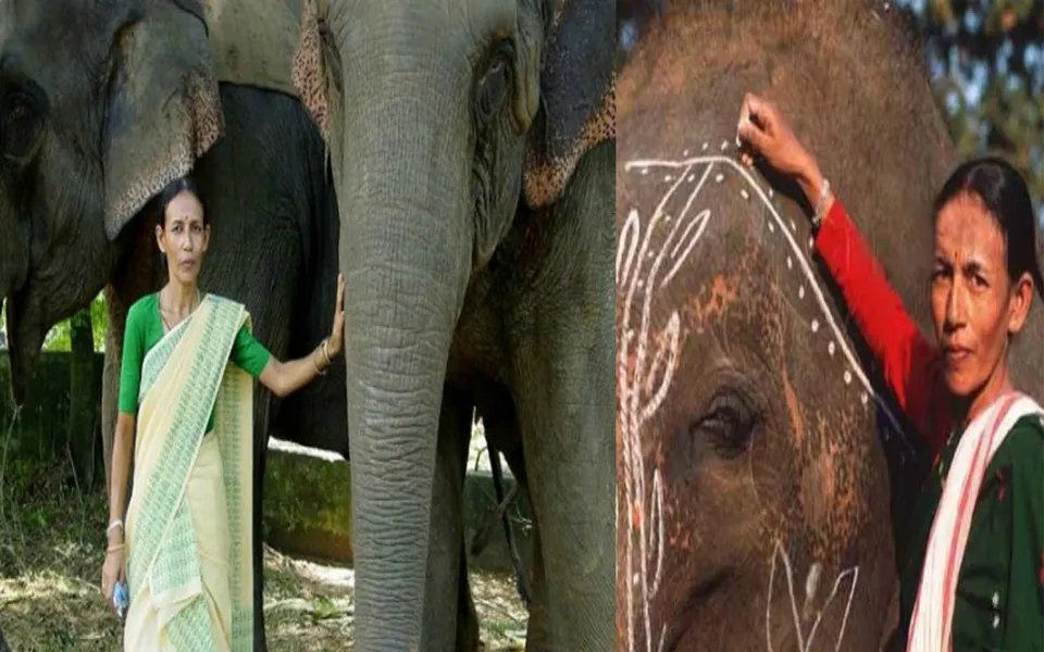 ELEPHANT HELDER