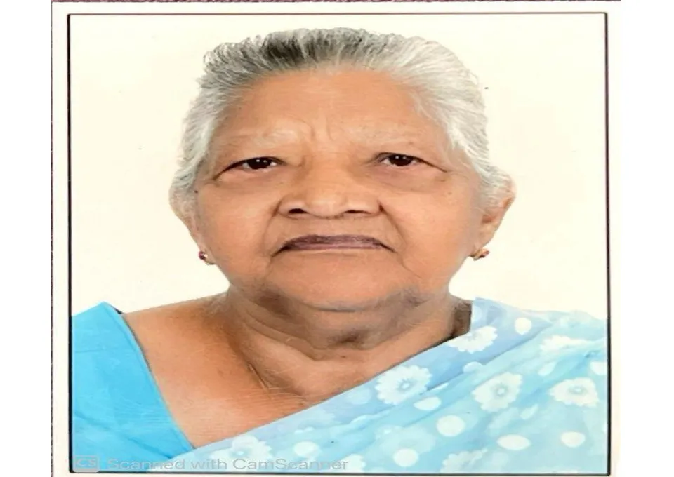 handi koshi