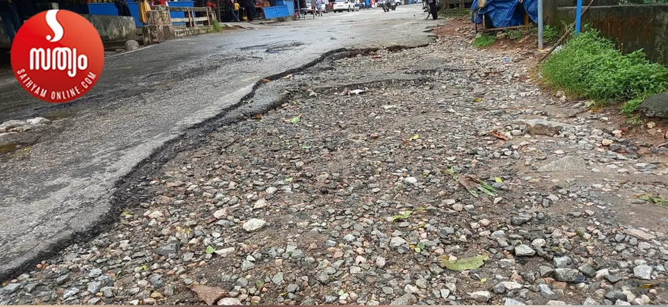 malambuzha garden road