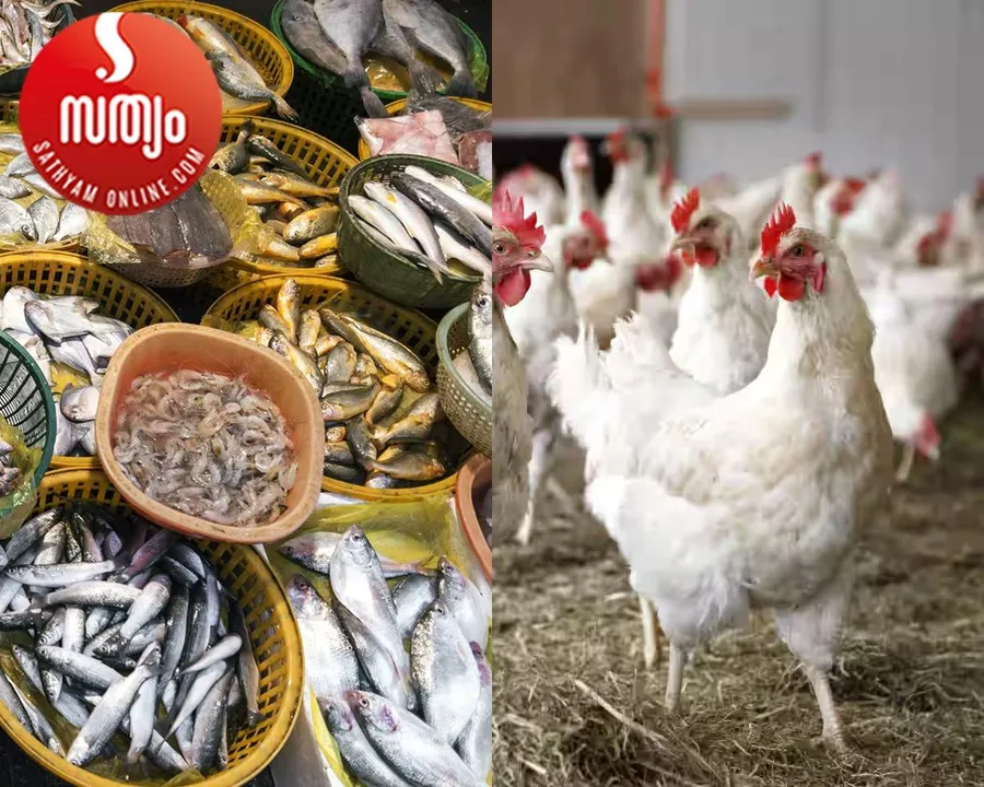 fish and chicken