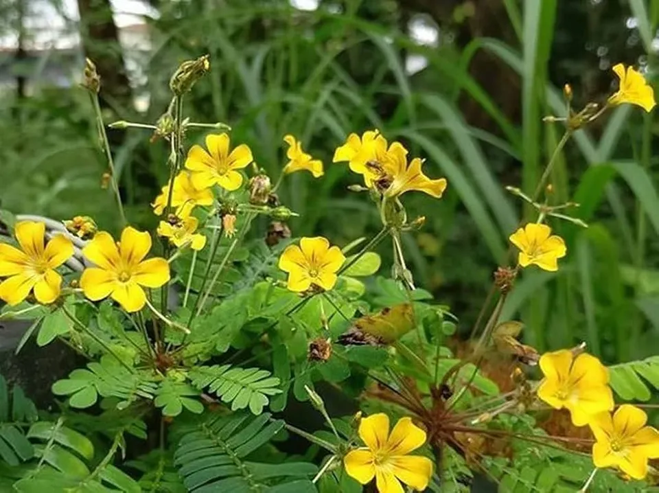 844b163e-161c-48ed-b0a2-30981b637dcc