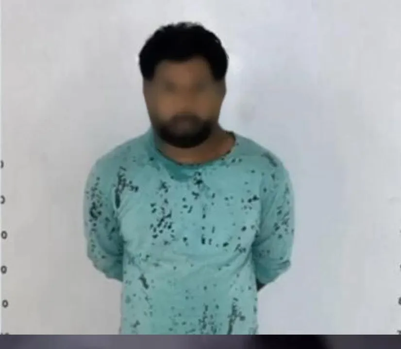 38373dab-83a7-42a6-8237-a298a0652172