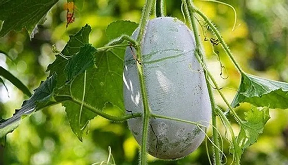 ce4ad188-8262-4808-ac03-c7e9e2b2a709