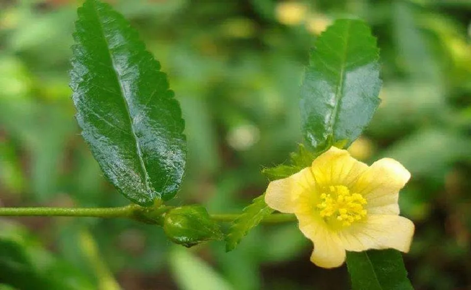 3c9df8db-20b4-4561-b0b3-f962d3a30147