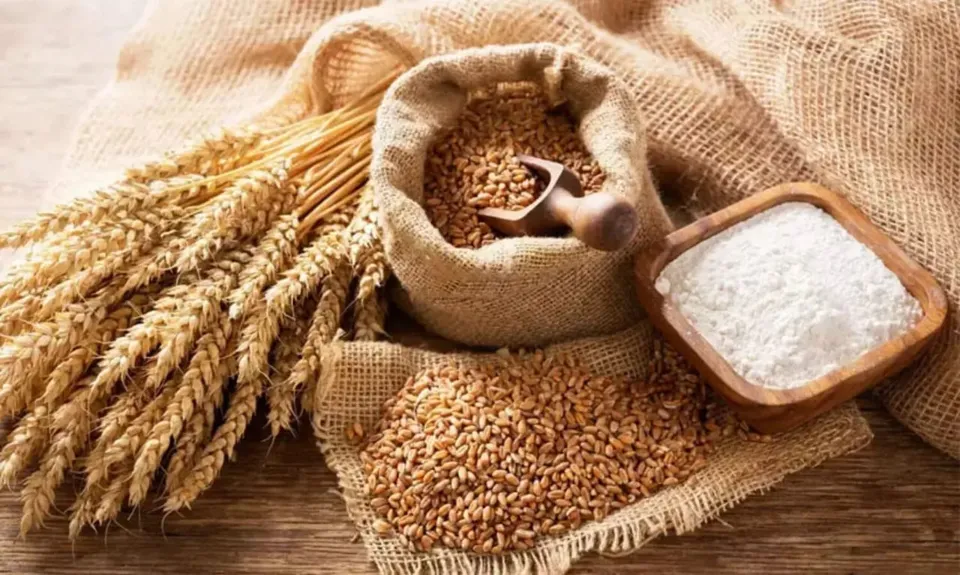 47457219-0ab9-4b1f-acb8-0e90425845aa