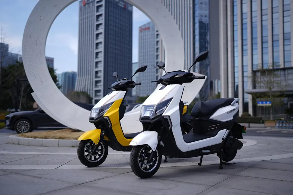 ELECRIC SCOOTTAR