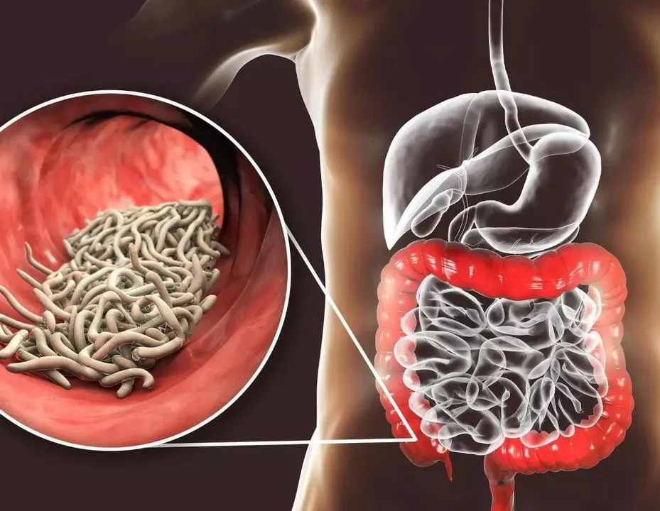 0537ef6f-9e2f-4e28-aa8e-41ceccb8241e (1)