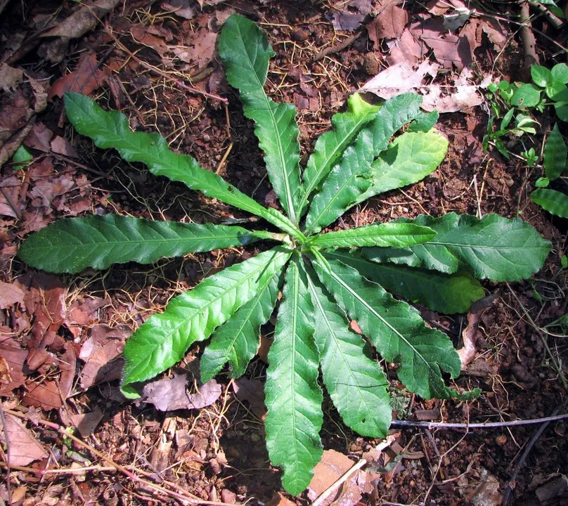 55356f78-ce4f-4fda-b1f1-67c566e70478