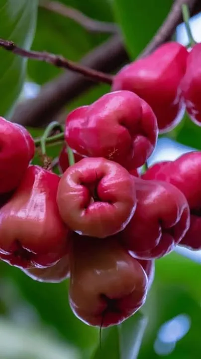 fdf0f900-12d5-411d-9272-0b240fc18273