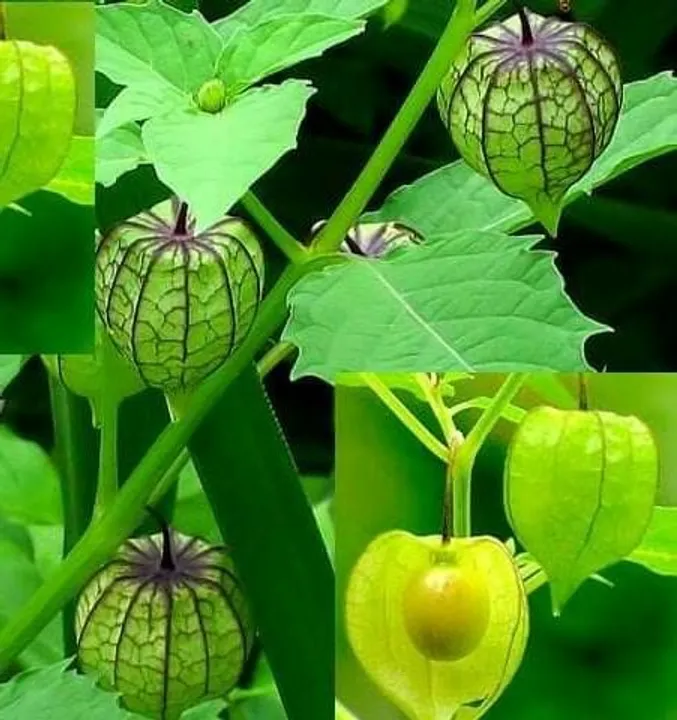 a2df573e-c39e-4d9c-aa2f-fc43bc5e1a9c