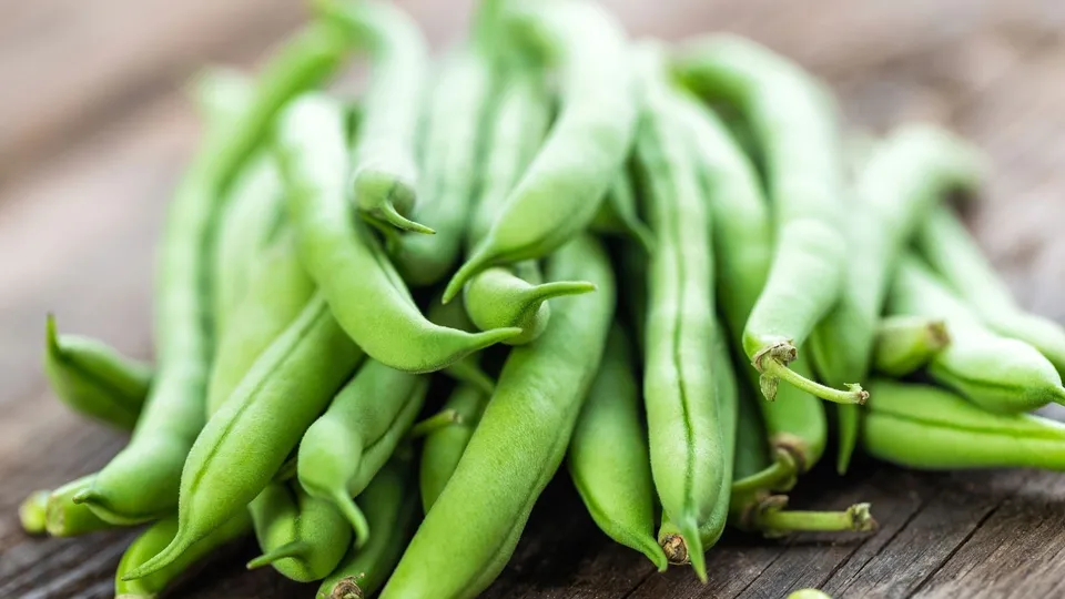 f22b10b1-078f-48fb-8d65-570367ee71b7