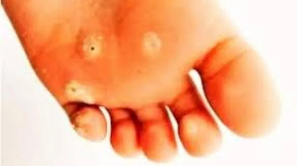 97ec5ae0-4e29-41d2-b1b8-b512a42d0320