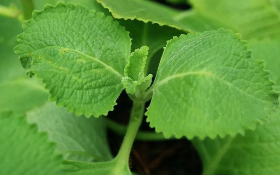 2bcf6508-48a5-4ef3-9af9-c4ea90b6dad8