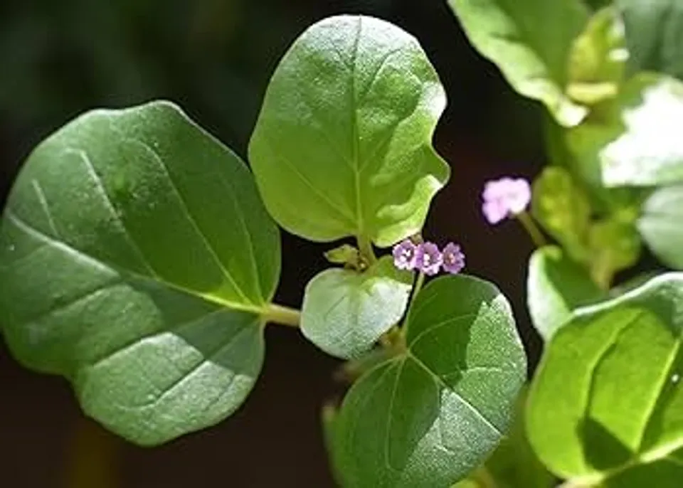 aef45766-28bb-43a8-b6e3-204aa2875c18