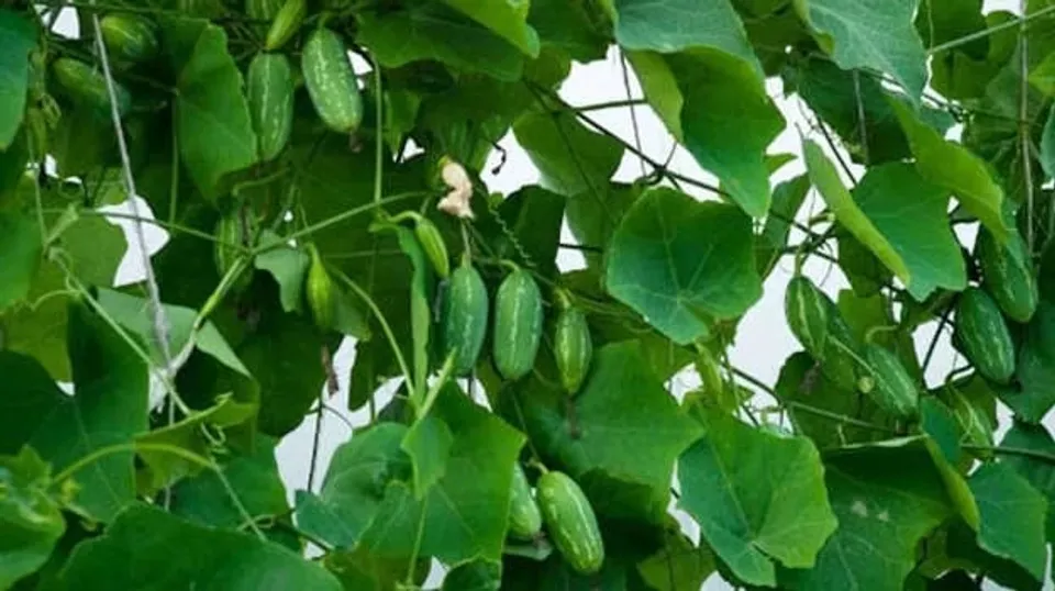 5512fba3-fce5-46e0-8fb5-b57b7cc8d5a8 (1)