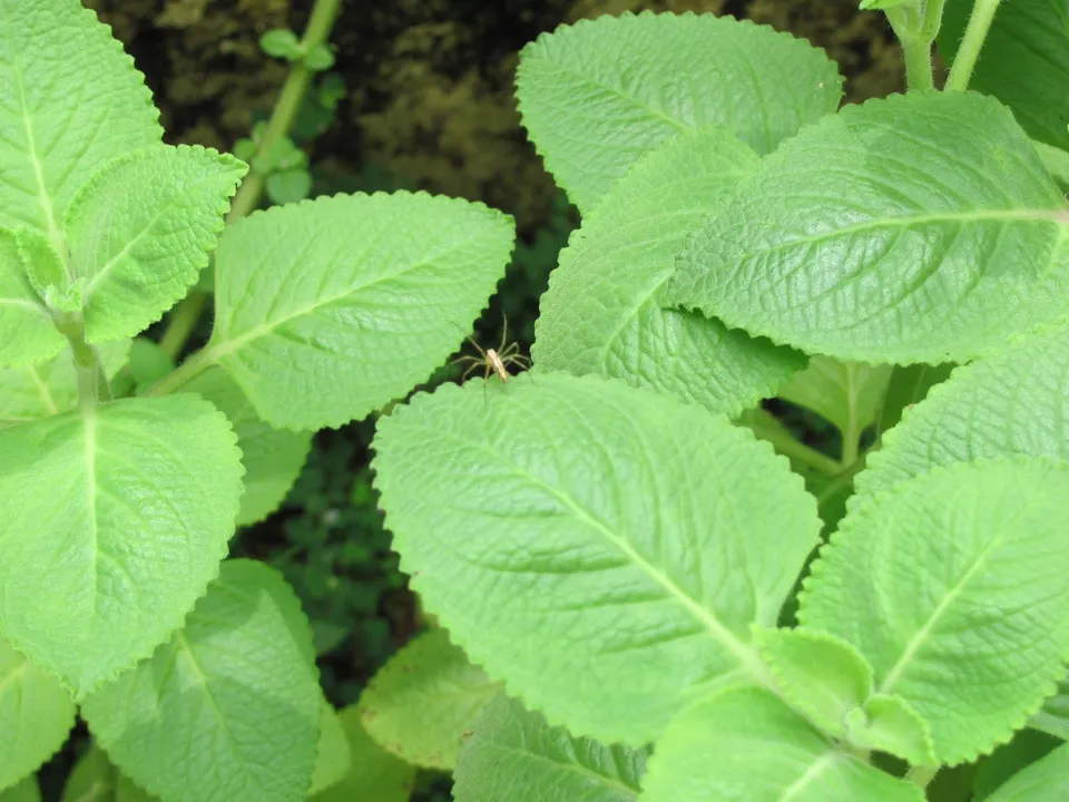 ca01bb5b-5c1d-48bc-9d76-921a6c291bba (2)