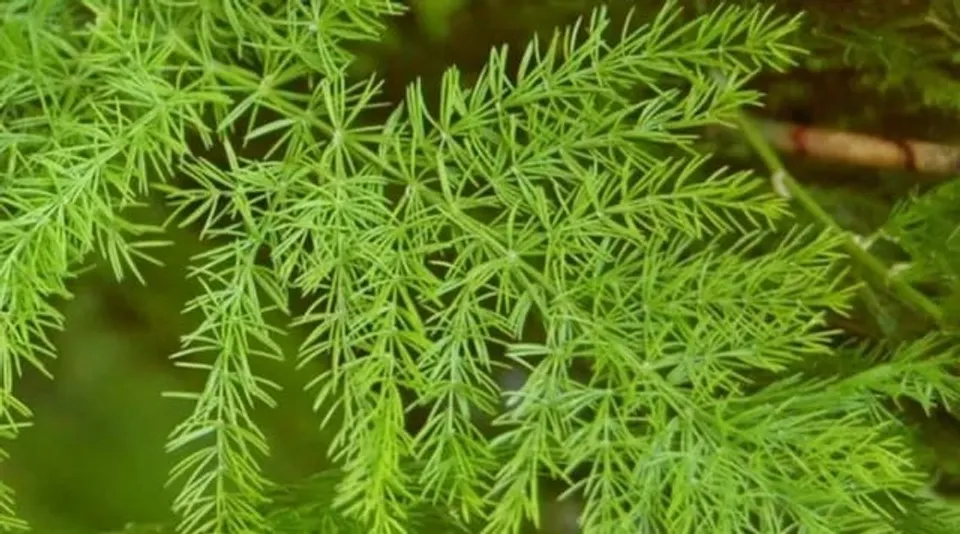 0405ea92-c260-414c-8ae6-370d2b3833c3