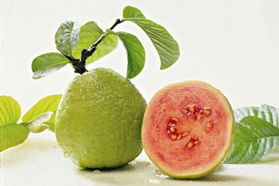 6fdb6823-810b-471c-a3bd-be4890dcd360