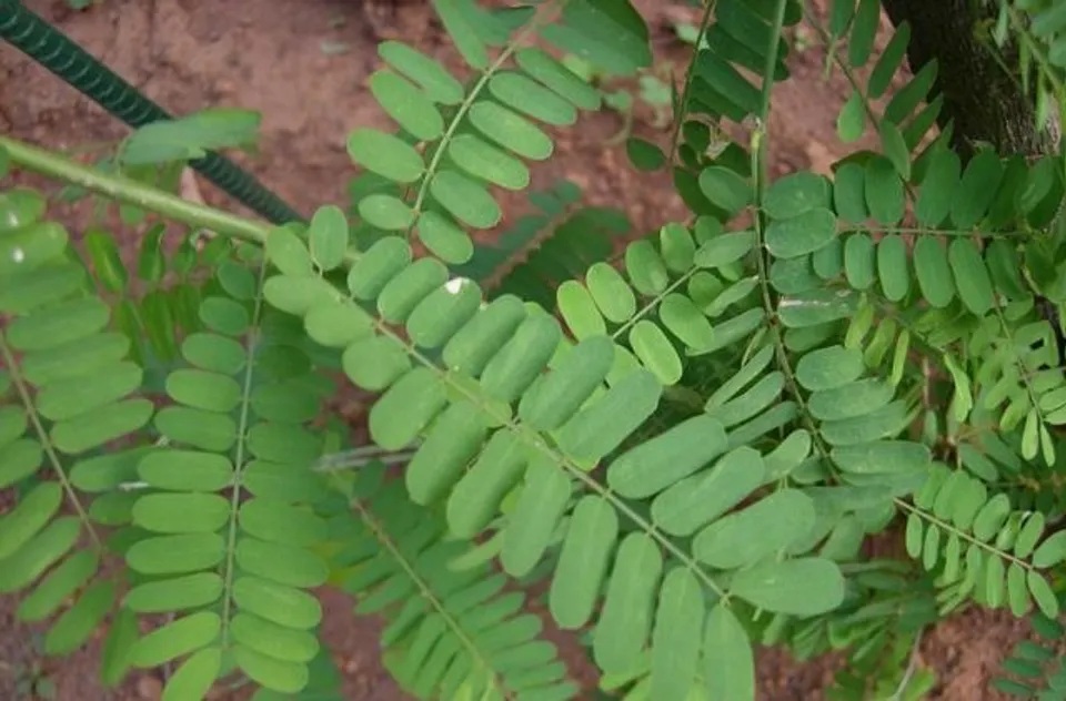 71e02216-cefe-44ea-832c-a968260568d3