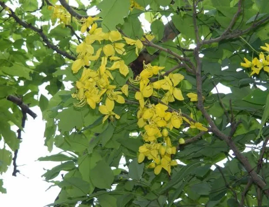 1e926d3f-b2e1-472f-9bfa-121da7f58b27