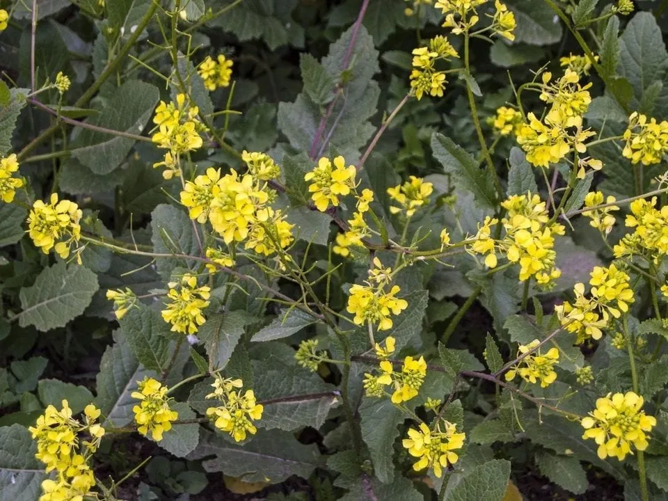 c074e5fe-f21e-4f8b-9a9b-c48801246b19