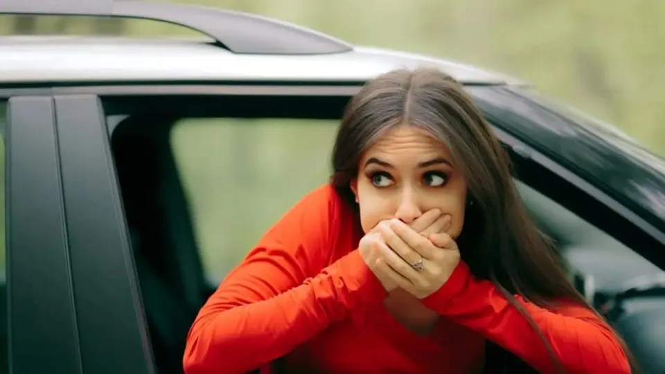 1d24b147-b649-4c42-bfd8-6d6f73fb572b