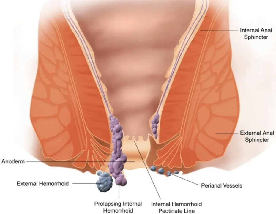 e95eb7e4-eb55-4712-8b6d-ae731eefb103