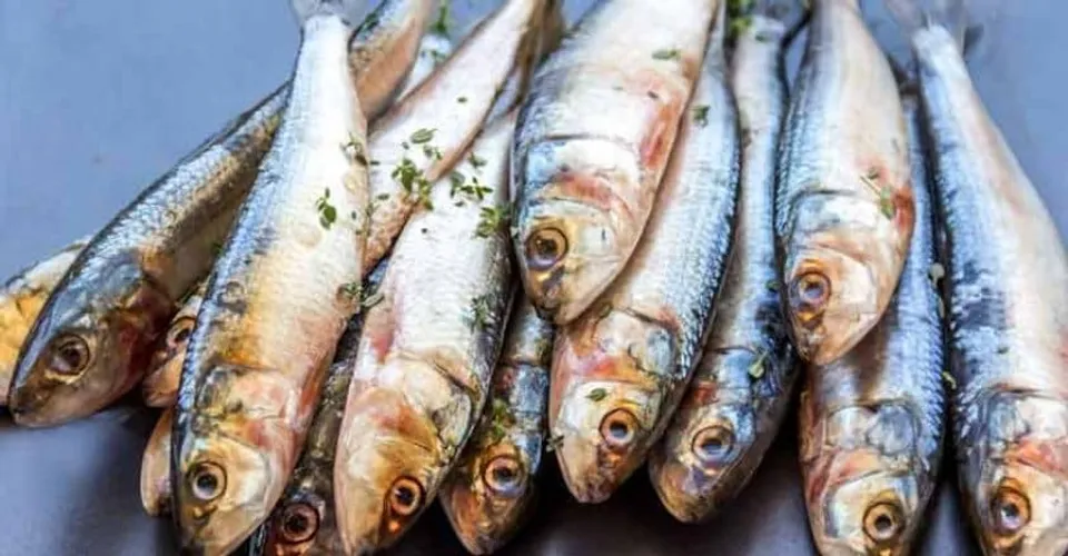 7daf7c11-1c69-42d6-98e8-77630b696b74