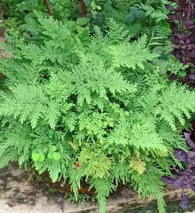 9d6219f2-cbf7-49fc-9f52-f3faeb4b1ba3