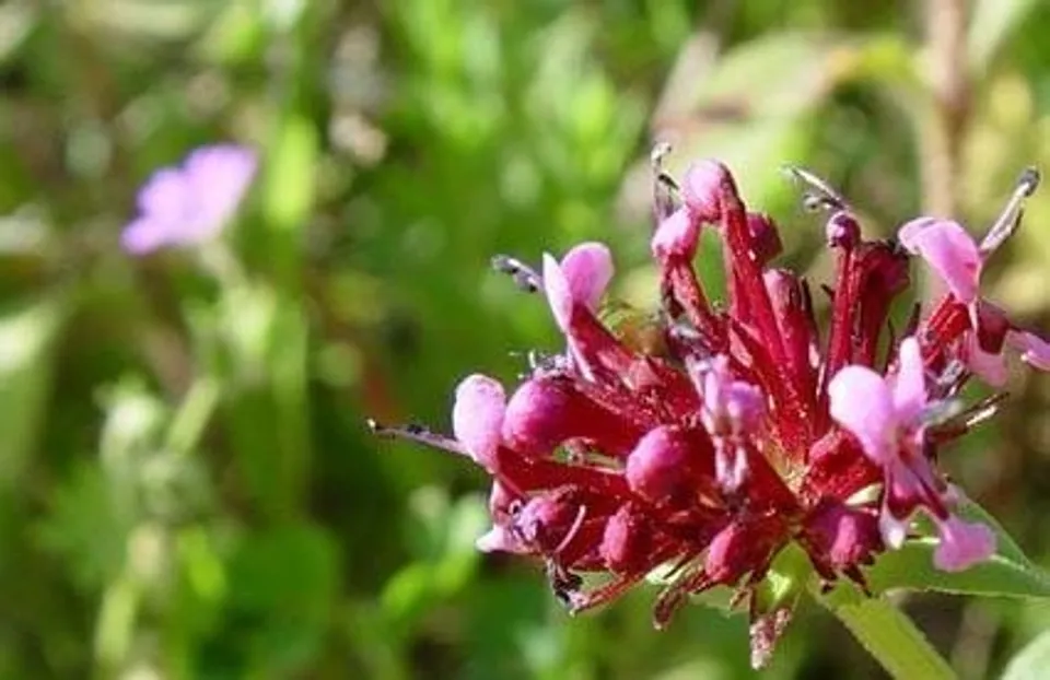 fc3826b5-6885-4a43-9f9b-98dee7b73150