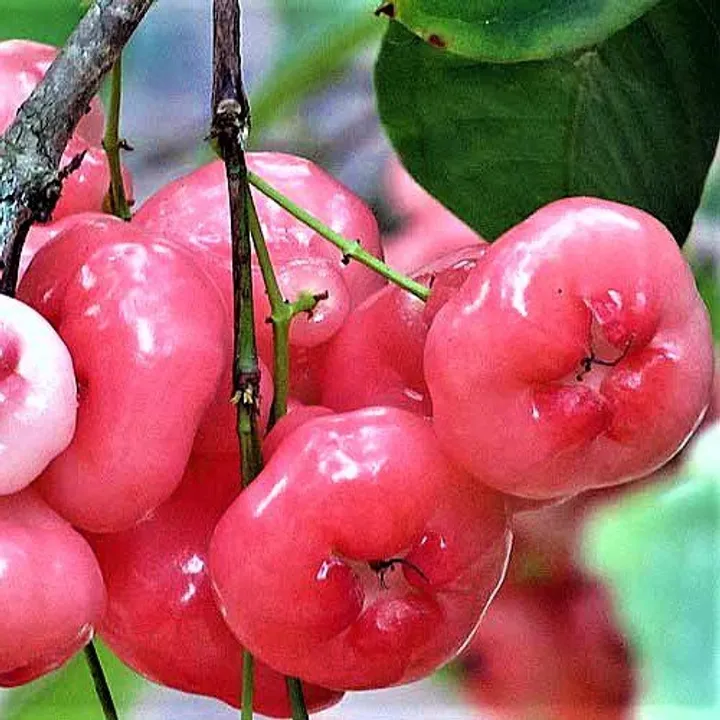 3cabf3de-958f-4ad4-ac11-1968fb220143