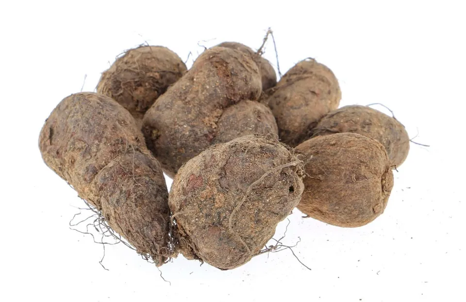 4af85ade-6937-4723-9795-e60c4c2f7c7c