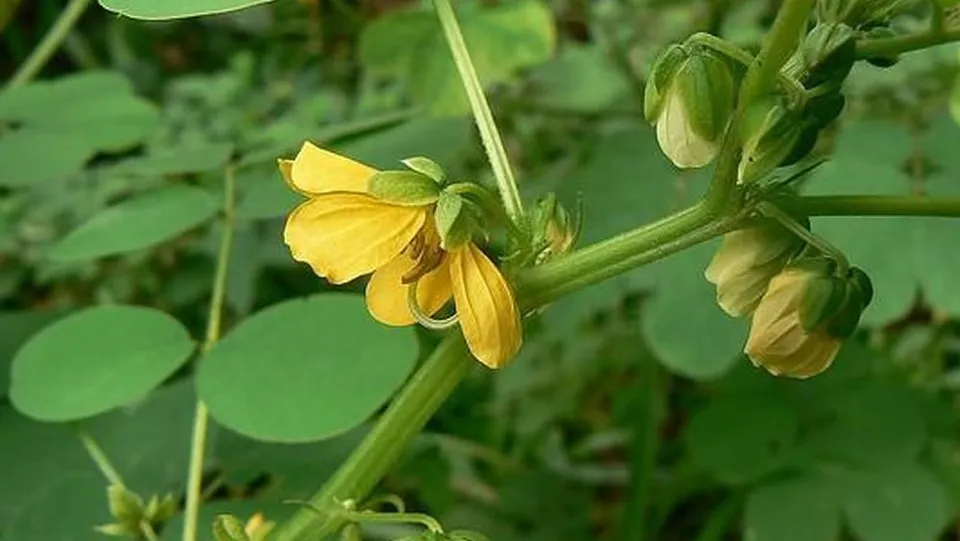 8adbc493-9815-4c42-9c32-a305ec8d9494