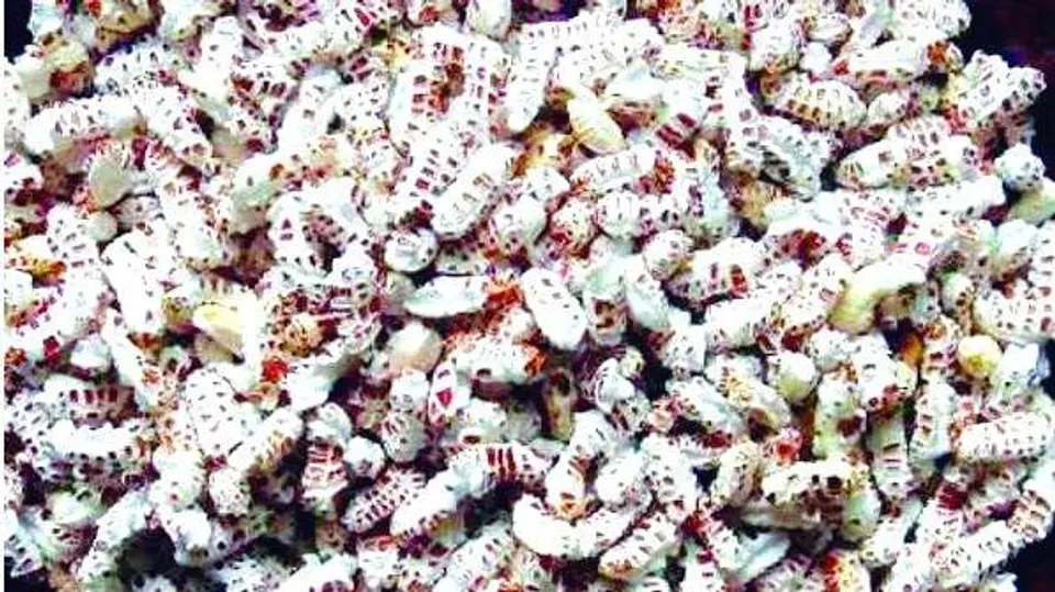 d18cc153-0207-4e89-b20d-6010ac4f1883