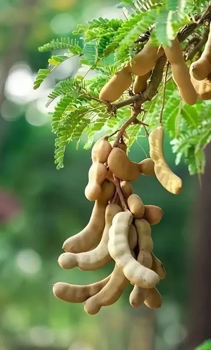 088c112d-d80d-44db-98e1-57b42b923009