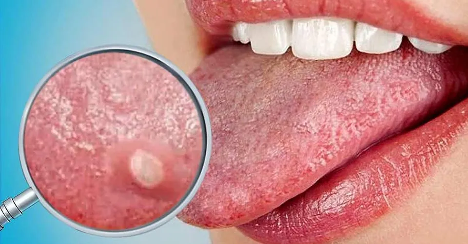 ca24b3b6-0ea4-4470-8c56-ec23e4d3ba0e