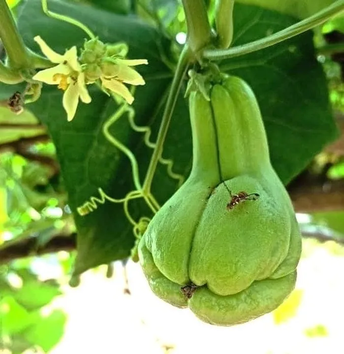 3bb932b9-bd35-4f06-8388-25d578ab91eb