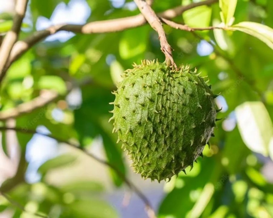 c6bd34d6-99df-47e2-a42d-5531476b27ce