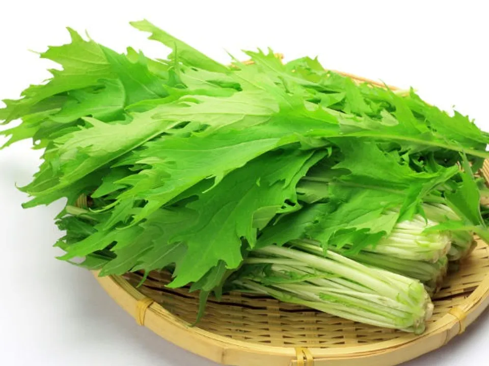 d2fc04d1-5e7c-45d5-a37a-a6bbeac1bccf