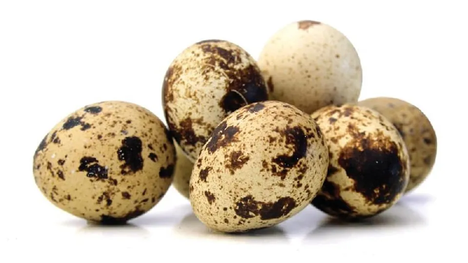 f4bd6dd9-f86c-4b4b-b245-bbf137cdba0e