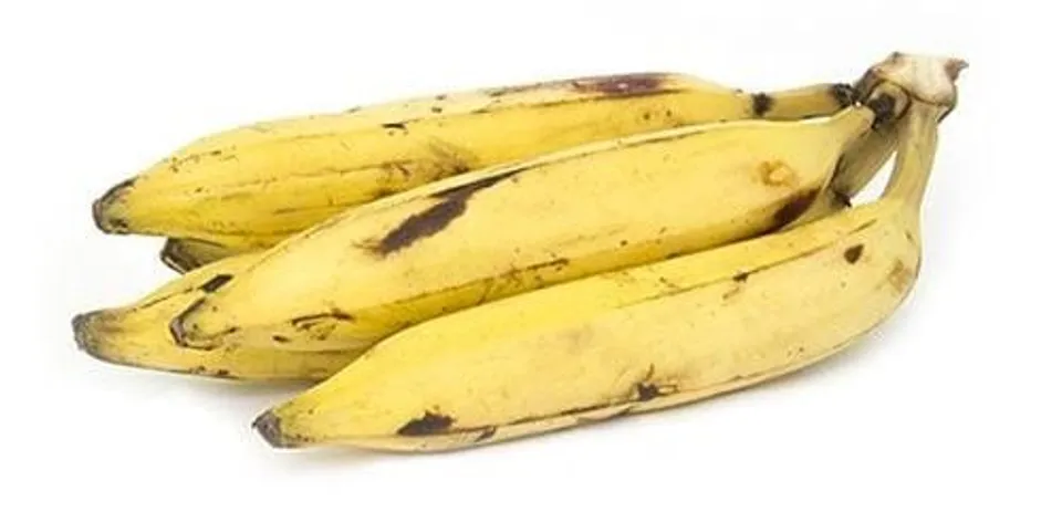 6917e2c7-6aef-481e-9879-77604a4520f6 (1)