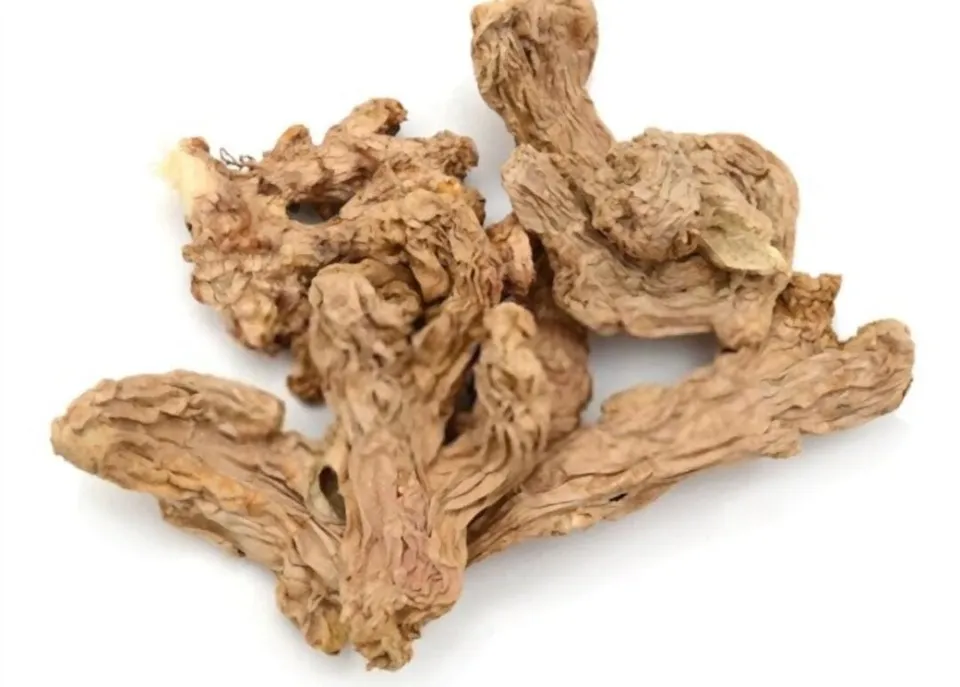 7620cd35-24fb-4adb-8fb6-eb15b4d0fc71