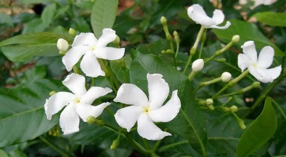 b08d0b87-d2b4-4c86-8344-71c9c3ef0fa8