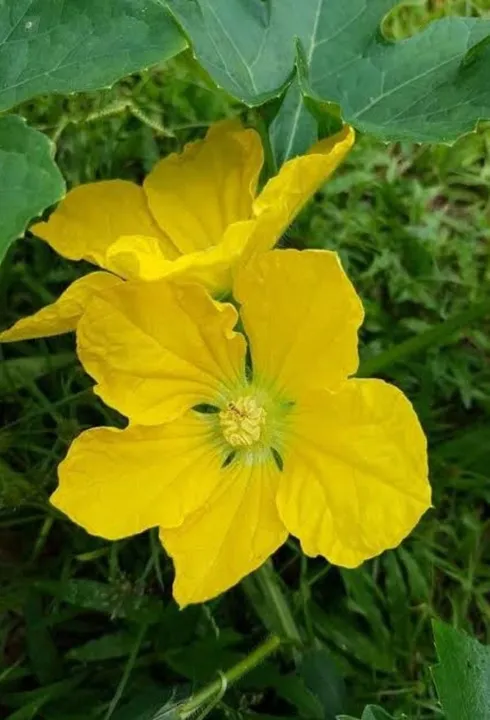 8abbe082-6475-4ce1-bbce-bd1ec85ed78b